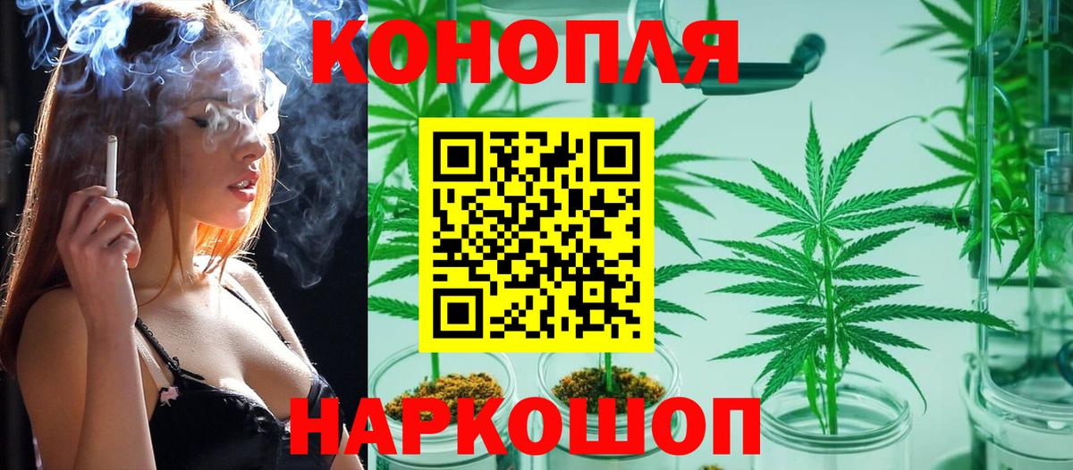 Каннабис семена Партизанск